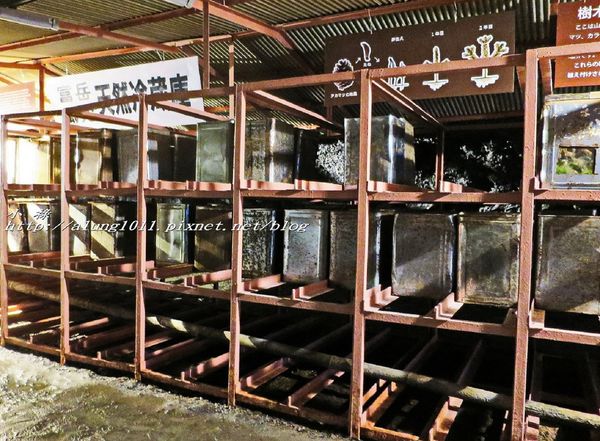 富岳風穴 (49).jpg