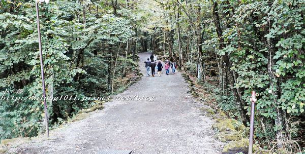 富岳風穴 (21).jpg