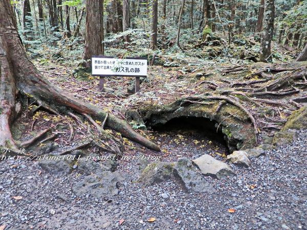 富岳風穴 (23).jpg