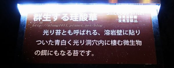 富岳風穴 (45).jpg