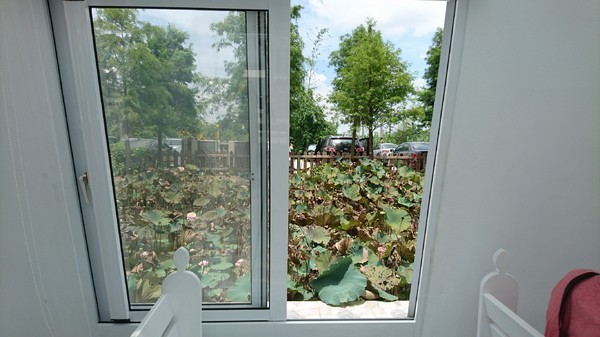 古坑珍‧粉紅城堡 水漾森林敎堂：雲林古坑~珍粉紅城堡 水漾森林敎堂~繽紛彩虹步道~超夢幻超浪漫~好拍到嫑嫑的~婚紗拍照打卡的好地方~