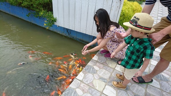 古坑珍‧粉紅城堡 水漾森林敎堂：雲林古坑~珍粉紅城堡 水漾森林敎堂~繽紛彩虹步道~超夢幻超浪漫~好拍到嫑嫑的~婚紗拍照打卡的好地方~