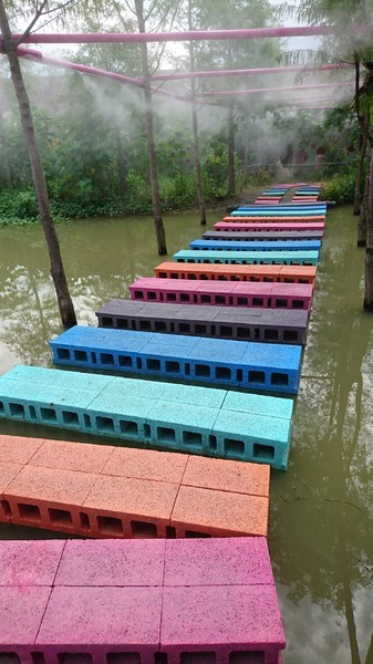 古坑珍‧粉紅城堡 水漾森林敎堂：雲林古坑~珍粉紅城堡 水漾森林敎堂~繽紛彩虹步道~超夢幻超浪漫~好拍到嫑嫑的~婚紗拍照打卡的好地方~