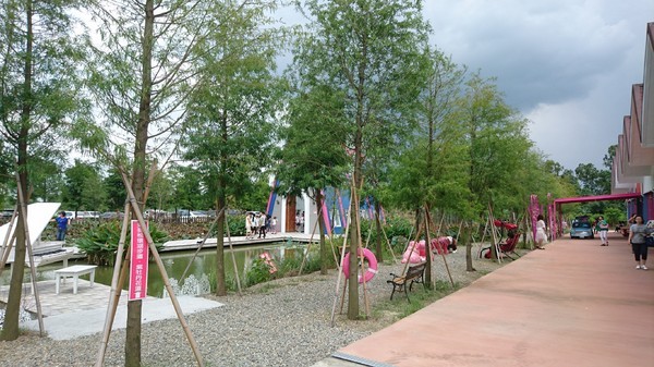 古坑珍‧粉紅城堡 水漾森林敎堂：雲林古坑~珍粉紅城堡 水漾森林敎堂~繽紛彩虹步道~超夢幻超浪漫~好拍到嫑嫑的~婚紗拍照打卡的好地方~