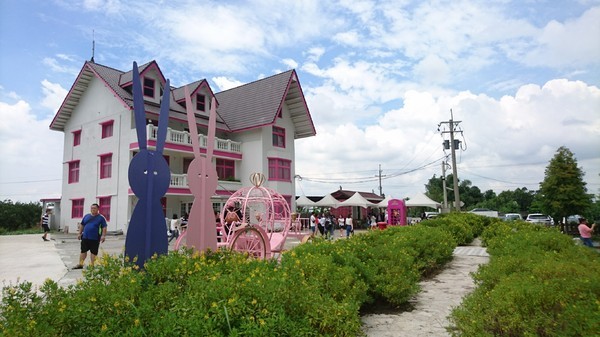 古坑珍‧粉紅城堡 水漾森林敎堂：雲林古坑~珍粉紅城堡 水漾森林敎堂~繽紛彩虹步道~超夢幻超浪漫~好拍到嫑嫑的~婚紗拍照打卡的好地方~