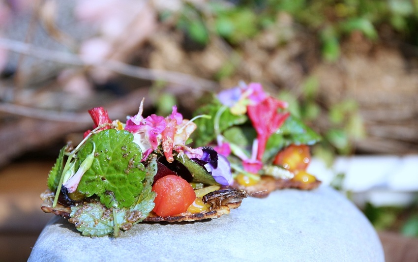 芾飲食實驗室 在森林中尋覓食材 創造自然互動情境 讓吃飯變得更有趣 - 雪倫情報局