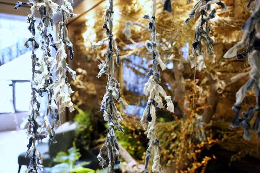 芾飲食實驗室 在森林中尋覓食材 創造自然互動情境 讓吃飯變得更有趣 - 雪倫情報局