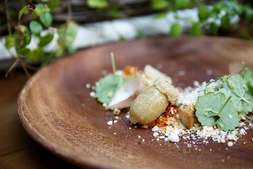 芾飲食實驗室 在森林中尋覓食材 創造自然互動情境 讓吃飯變得更有趣 - 雪倫情報局