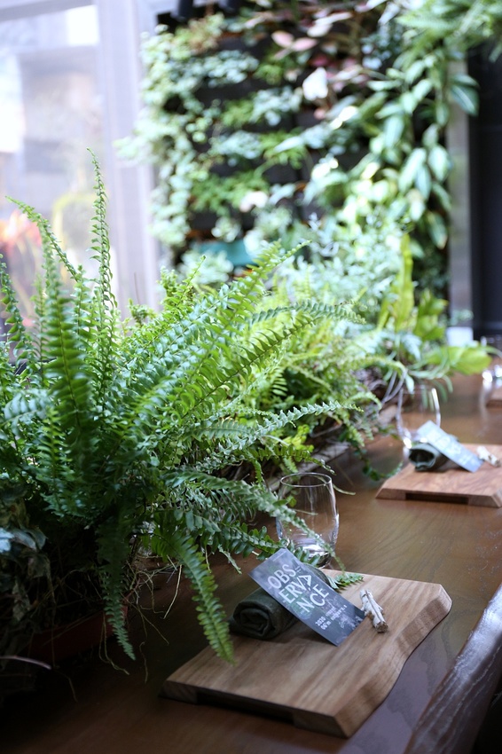 芾飲食實驗室 在森林中尋覓食材 創造自然互動情境 讓吃飯變得更有趣 - 雪倫情報局