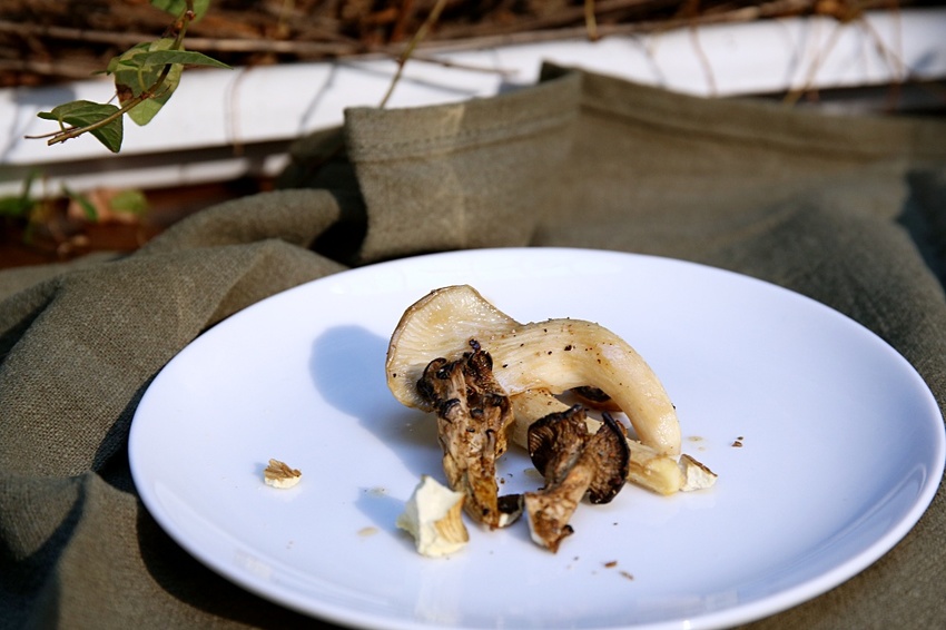 芾飲食實驗室 在森林中尋覓食材 創造自然互動情境 讓吃飯變得更有趣 - 雪倫情報局