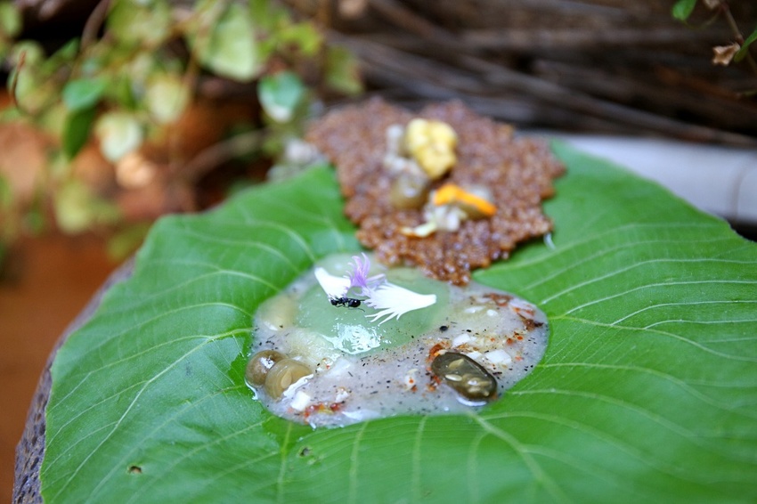 芾飲食實驗室 在森林中尋覓食材 創造自然互動情境 讓吃飯變得更有趣 - 雪倫情報局