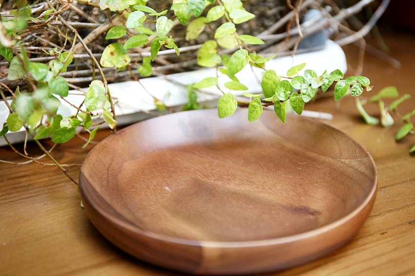芾飲食實驗室 在森林中尋覓食材 創造自然互動情境 讓吃飯變得更有趣 - 雪倫情報局