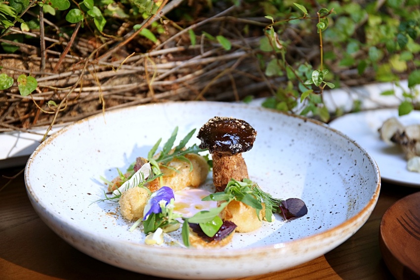 芾飲食實驗室 在森林中尋覓食材 創造自然互動情境 讓吃飯變得更有趣 - 雪倫情報局