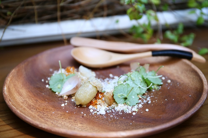 芾飲食實驗室 在森林中尋覓食材 創造自然互動情境 讓吃飯變得更有趣 - 雪倫情報局