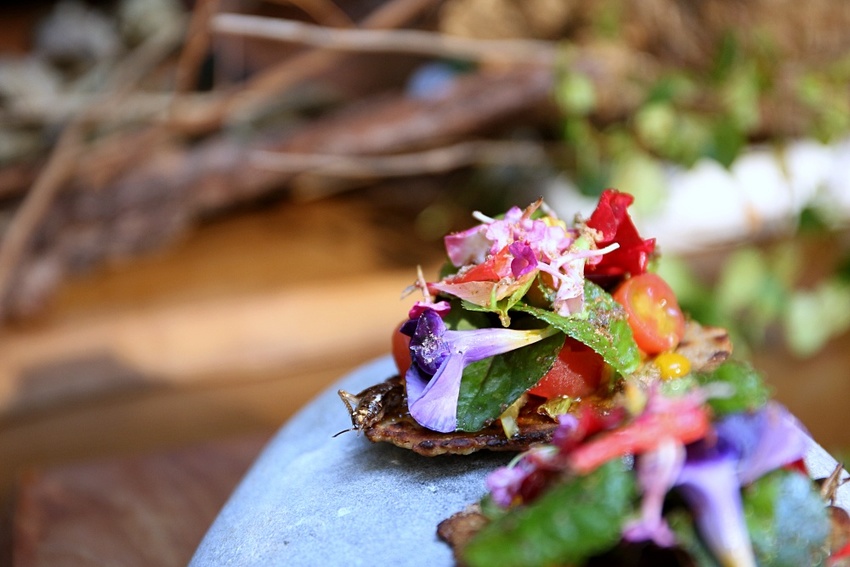 芾飲食實驗室 在森林中尋覓食材 創造自然互動情境 讓吃飯變得更有趣 - 雪倫情報局