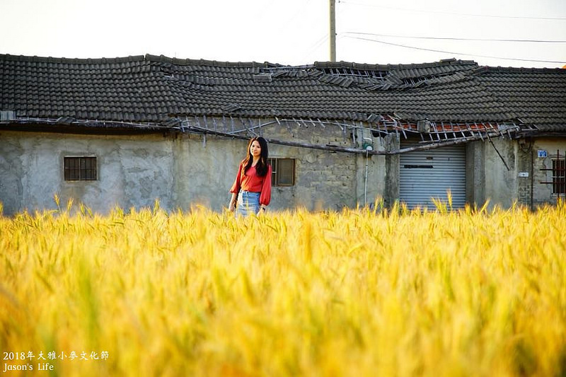 batch_29101102_2621324794550679_3939571555553509376_n