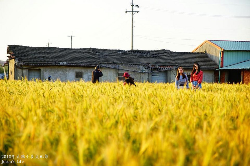 batch_29101176_2621324744550684_811728782921564160_n