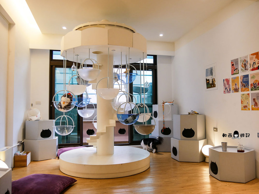 宜蘭羅東貓咪咖啡廳推薦》貓的生活提案●貓奴必去宜蘭咖啡廳!喝咖啡附贈10隻貓主子~被貓貓貓貓圍繞的療癒貓咪咖啡廳 - 軟西,遊記