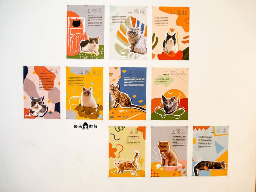 宜蘭羅東貓咪咖啡廳推薦》貓的生活提案●貓奴必去宜蘭咖啡廳!喝咖啡附贈10隻貓主子~被貓貓貓貓圍繞的療癒貓咪咖啡廳 - 軟西,遊記