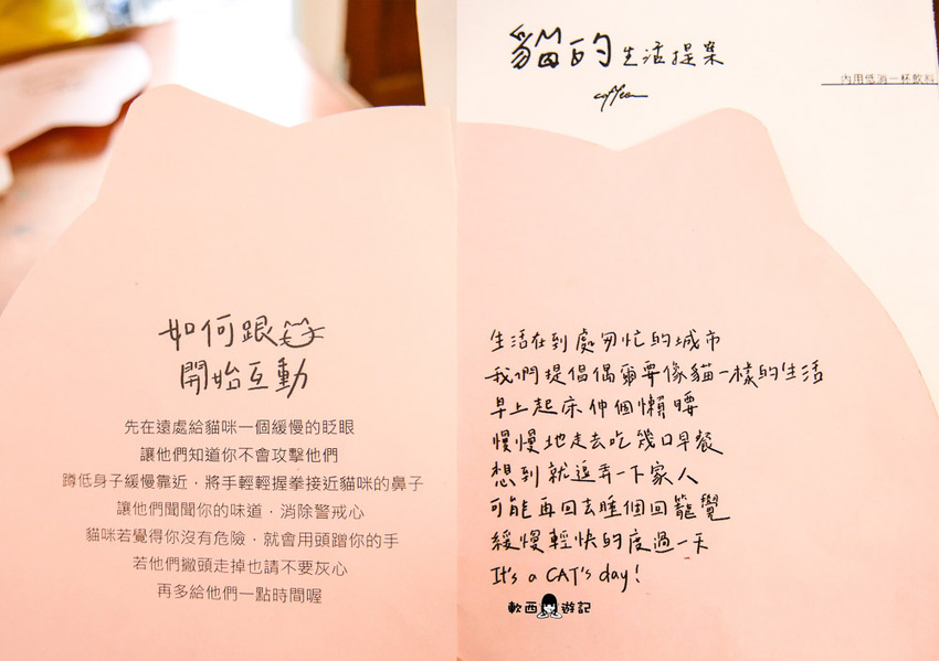 宜蘭羅東貓咪咖啡廳推薦》貓的生活提案●貓奴必去宜蘭咖啡廳!喝咖啡附贈10隻貓主子~被貓貓貓貓圍繞的療癒貓咪咖啡廳 - 軟西,遊記