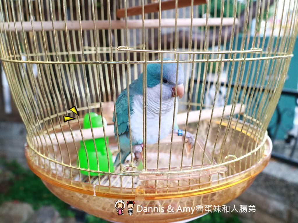 《新竹竹北美食》Freedom Caf'e Bistro(自由咖啡小酒館）義式早午晚餐輕食。宵夜炸物調酒。菜色推薦｜母親節優惠分享