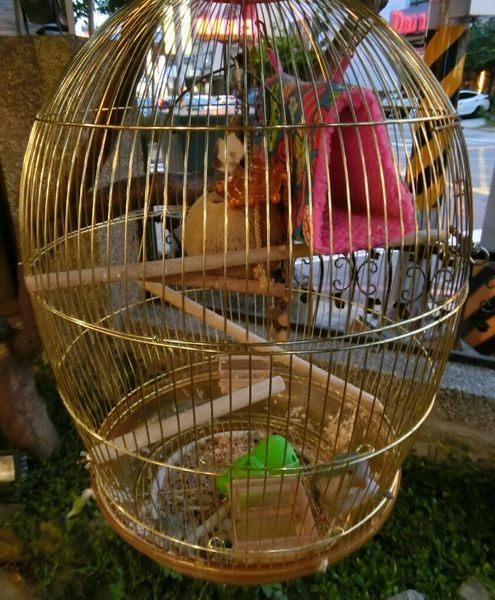 (竹北美食)Freedom餐酒館交通方便好停車,悠閒享受美食之夜~