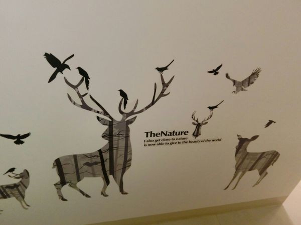 (竹北美食)Freedom餐酒館交通方便好停車,悠閒享受美食之夜~