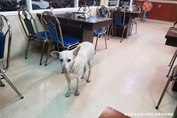 【高雄/小港區】萬教羊肉海產