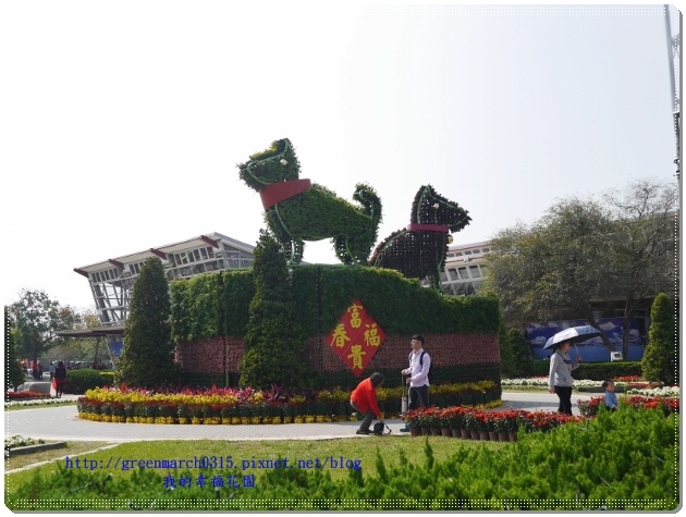 P9130301 (620x465).jpg