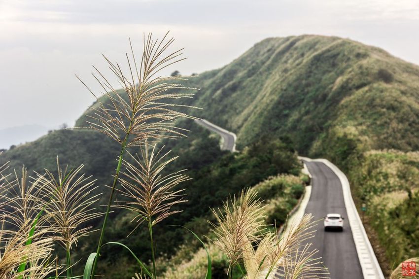 IMG_6332.jpg IMG_6332.jpg