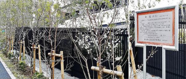 湯島天神 (6).jpg