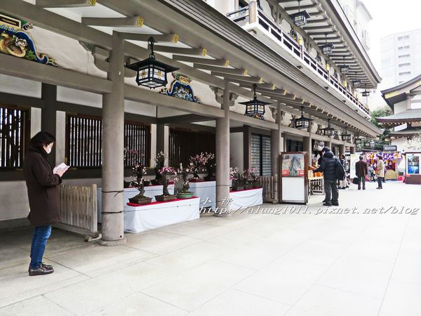 湯島天神 (46).jpg