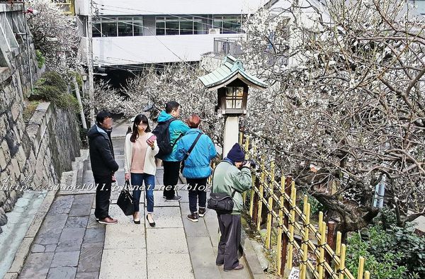 湯島天神 (50).jpg