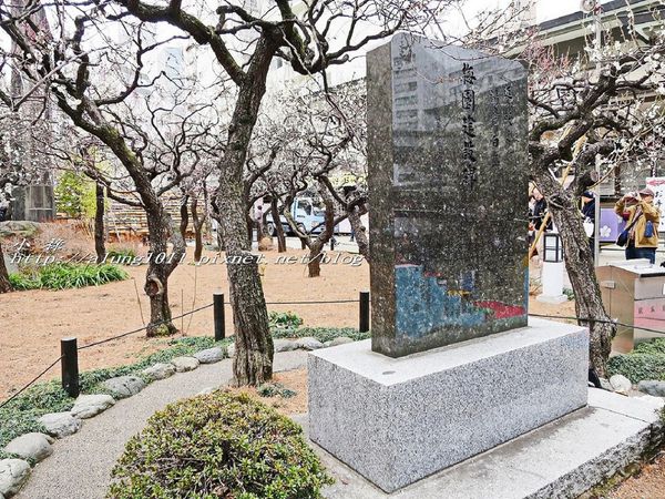 湯島天神 (23).jpg