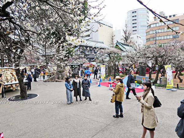 湯島天神 (25).jpg