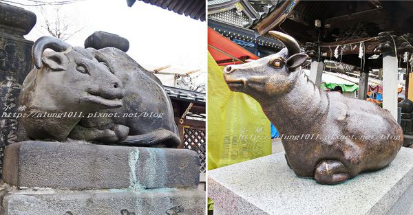 湯島天神 (15).jpg