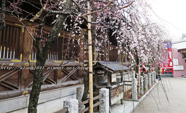 湯島天神 (38).jpg