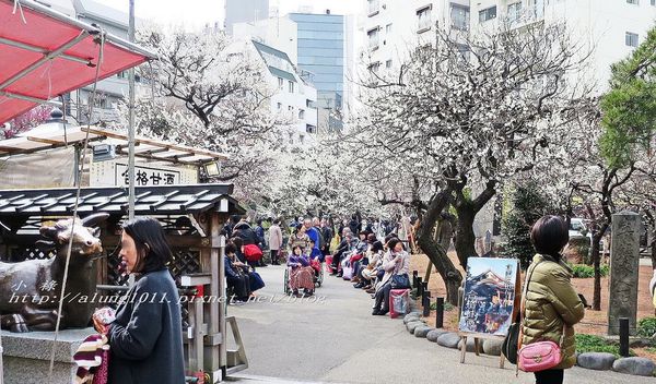 湯島天神 (36).jpg