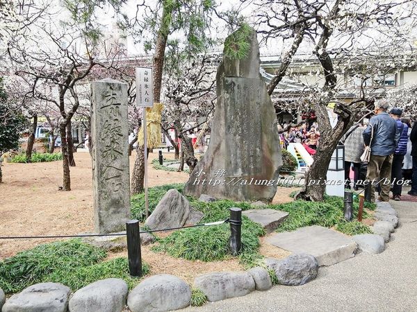 湯島天神 (24).jpg