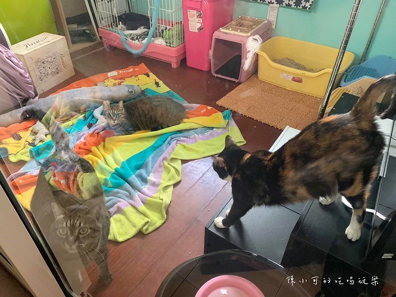 台北早餐,台北早餐店,景美早餐,景美早餐店推薦,木柵早餐店 @陳小可的吃喝玩樂