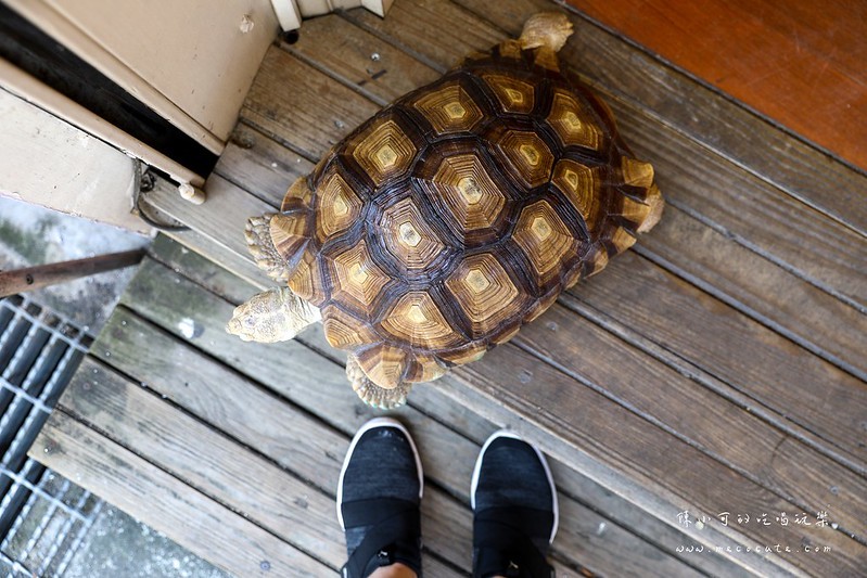 台北早餐,台北早餐店,景美早餐,景美早餐店推薦,木柵早餐店 @陳小可的吃喝玩樂