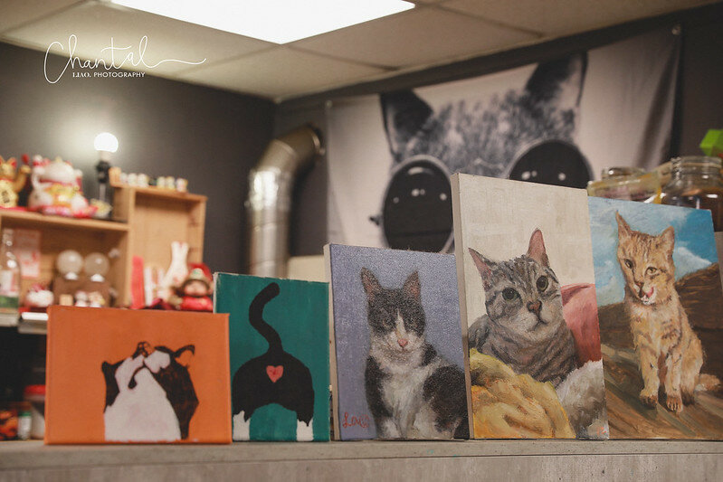 1J6A4704-2 拷貝 1J6A4704-2 拷貝