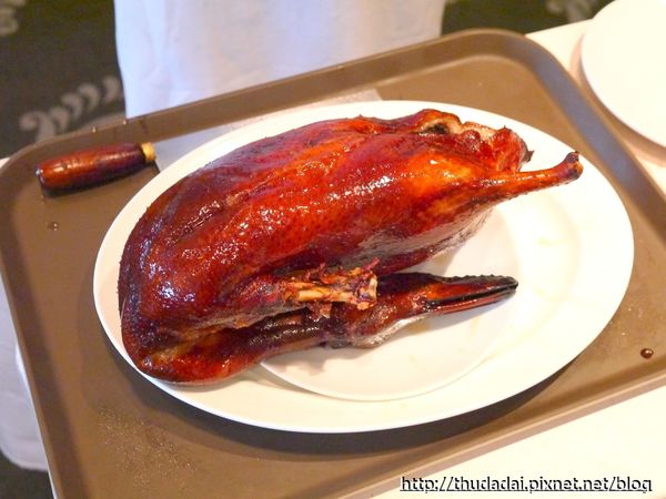 P1250488K16.jpg P1250488K16.jpg