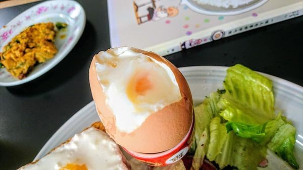 39906034_2023321717699507_2703319353167708160_n