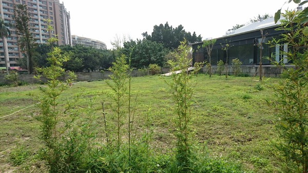 左創食不二:高雄~左創‧ 食不二~樹屋佈置堪稱一絕~舒適的用餐環境與濃濃文青氣息~優質的蔬食餐廳~ 左創食不二:高雄~左創‧ 食不二~樹屋佈置堪稱一絕~舒適的用餐環境與濃濃文青氣息~優質的蔬食餐廳~