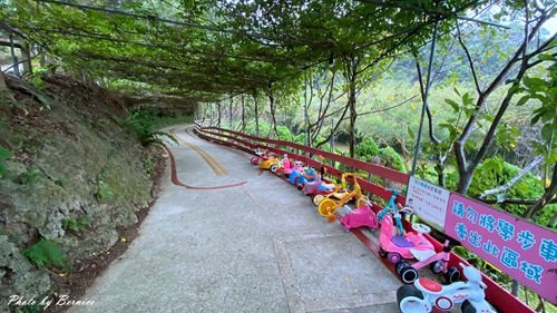 1113 1-桃樂絲09.jpg