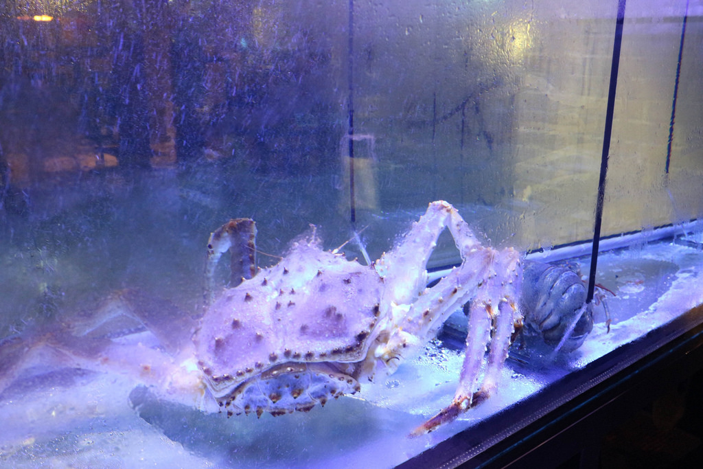 紫筵精緻火鍋 (8)