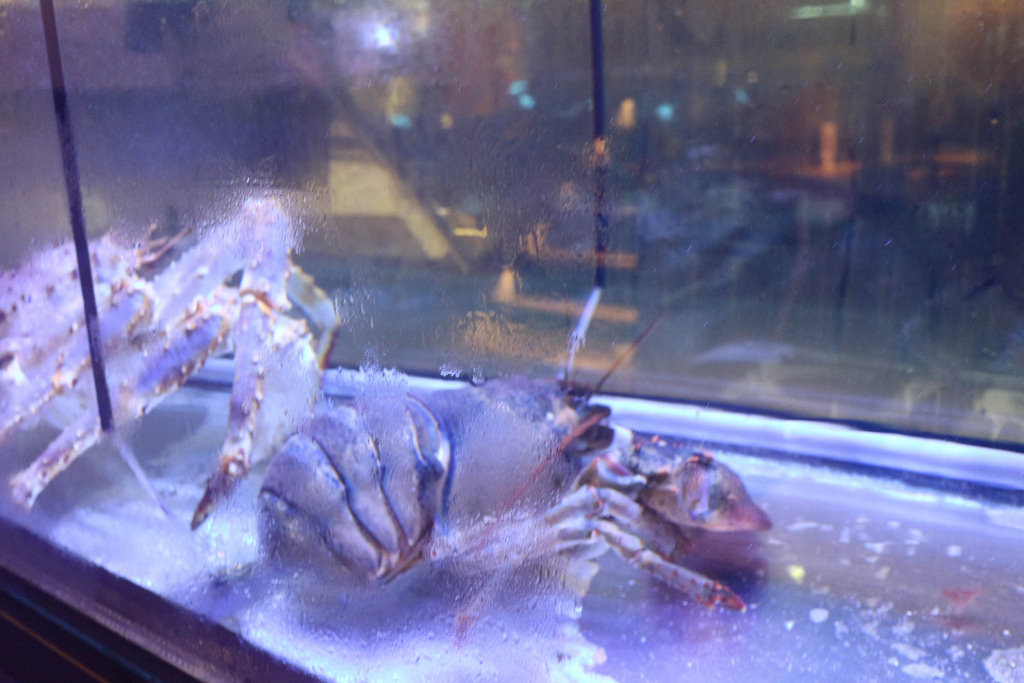 紫筵精緻火鍋 (10)