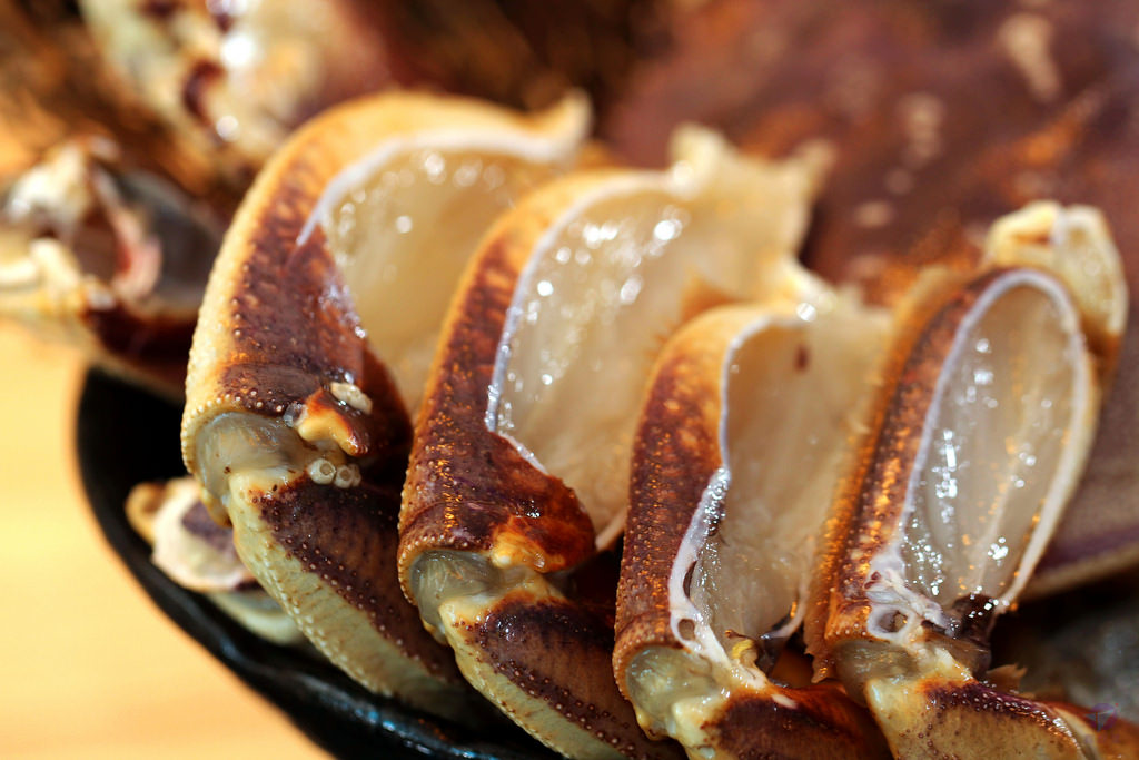 IMG_5937r4_结果 IMG_5937r4_结果