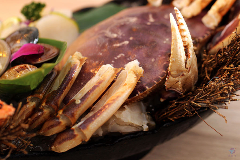 IMG_5935r4_结果 IMG_5935r4_结果